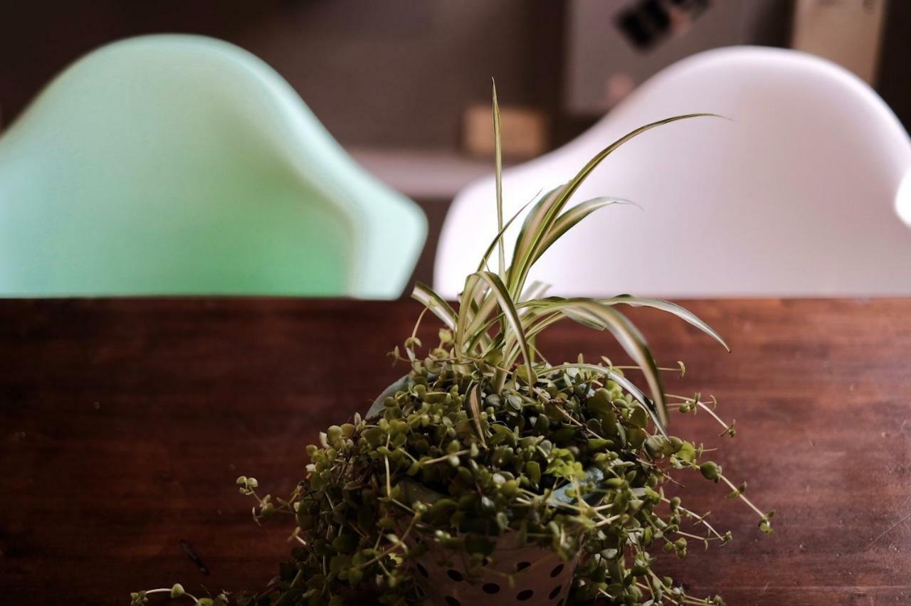 Leonidas Design Loft Mendoza Kültér fotó